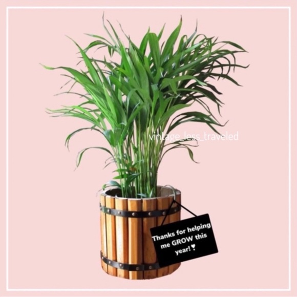 ROCKPORT WINDBREAKER M Removable Liner - Picture 14 of 15